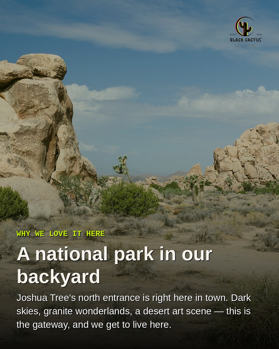 A national park in our backyard: Joshua Tree boulders and blue sky