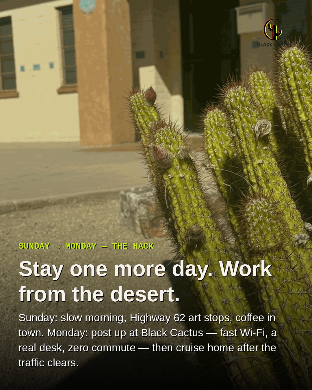Stay one more day and work from the desert at Black Cactus
